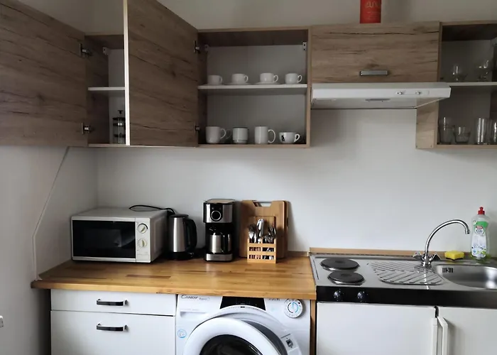 Apartmany Bolevec Plzen Pro Rodiny S Detmi A Zviratky