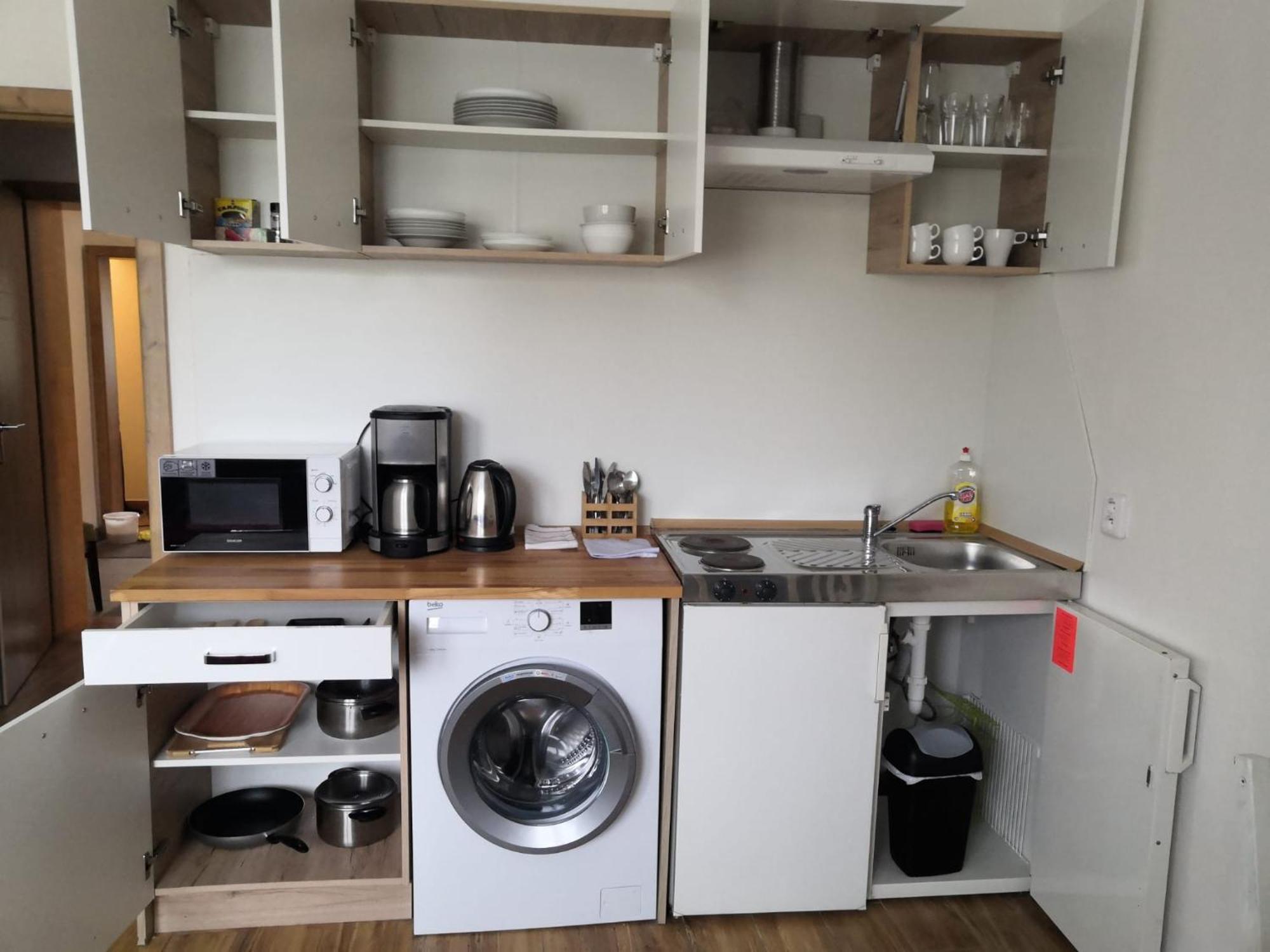 Apartmán Bolevec Pro Rodiny S Detmi A Zviratky